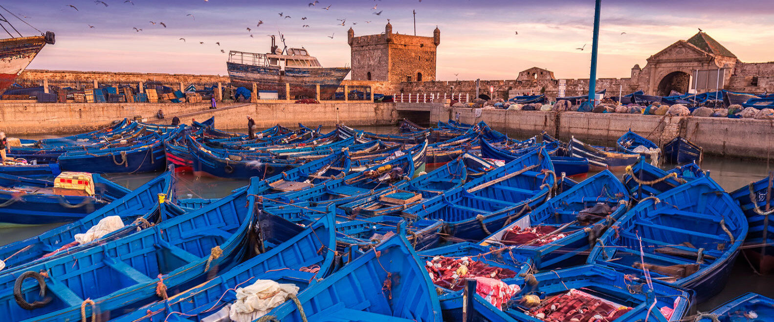 Essaouira's fortified port and fishing boats at blue hour