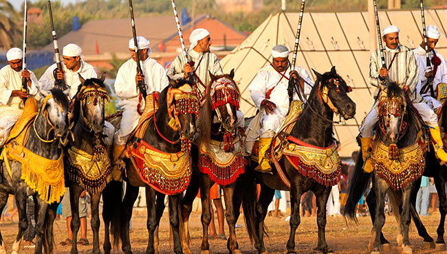 Traditional Moroccan fantasia / Tbourida cavalry performance