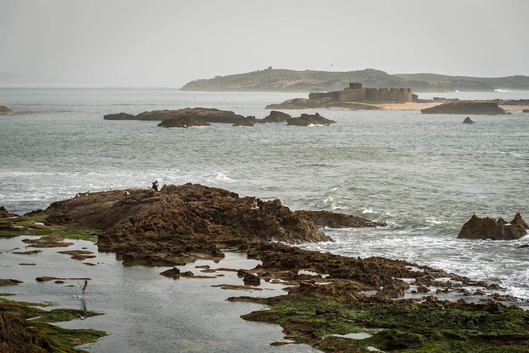 Rocky Atlantic shoreline near Essaouira