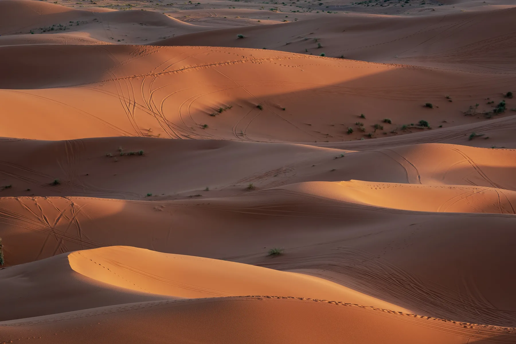 Late light over the Merzouga dunes